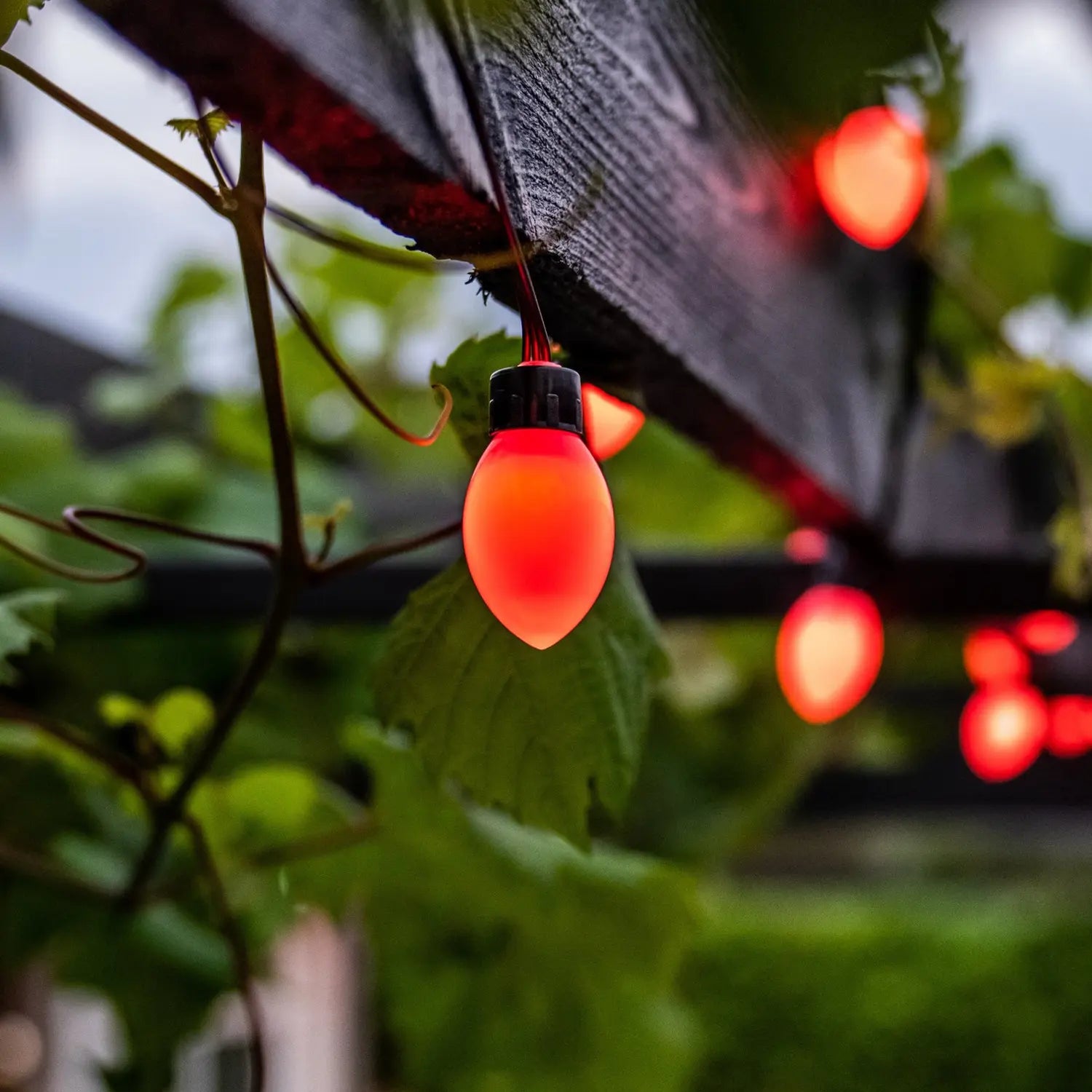 B-Ware :Lite Bulb Moments Lichterkette Lichtergirlande Schwarz Kunststoff 50x Oval 10m - 5714948300317