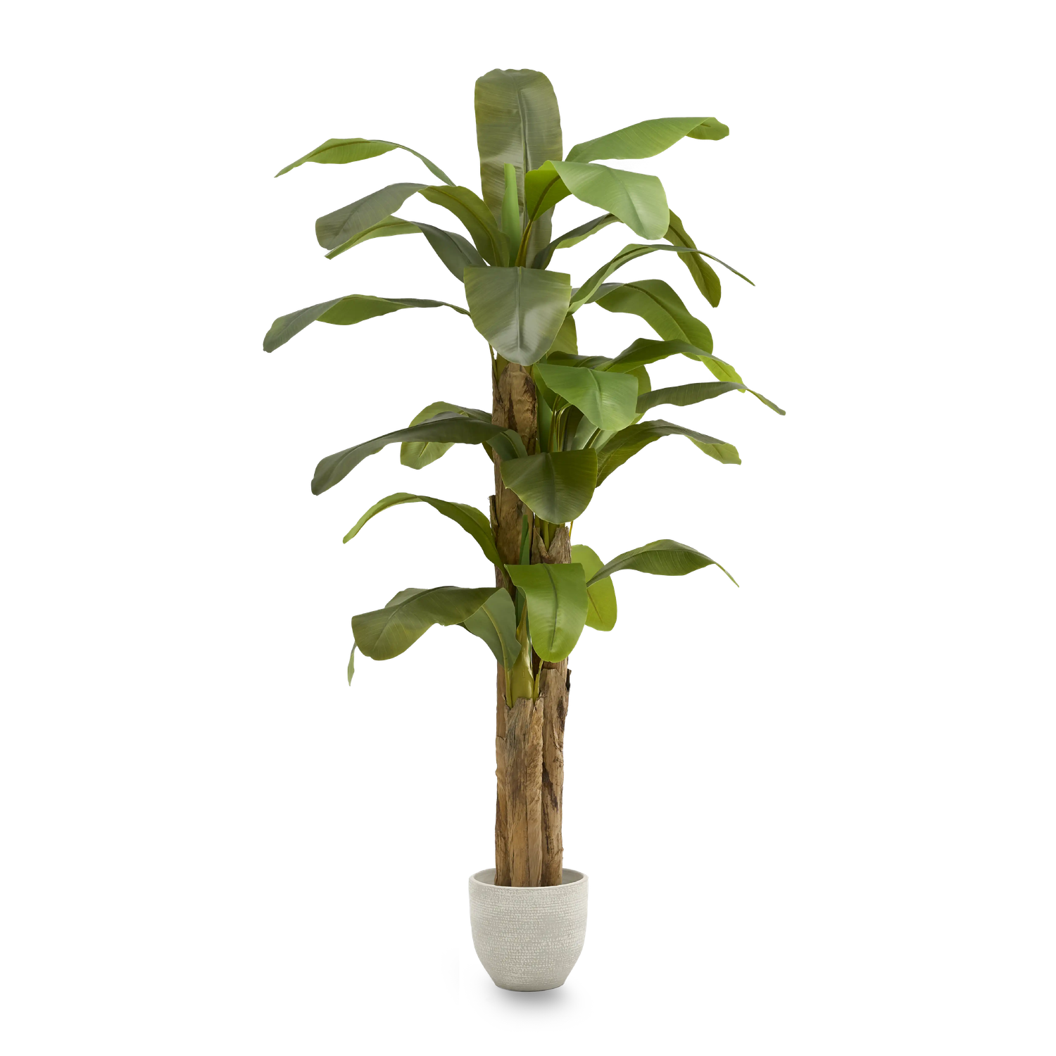 B-Ware Maia Shop Bananenbaum Kunstpflanze Dekobaum Kunstbanane Tropische Dekoration205