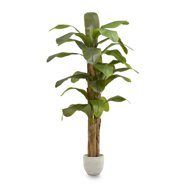 Maia Shop Bananenbaum Kunstpflanze Dekobaum Kunstbanane Tropische Dekoration B-Ware - 8435240502007