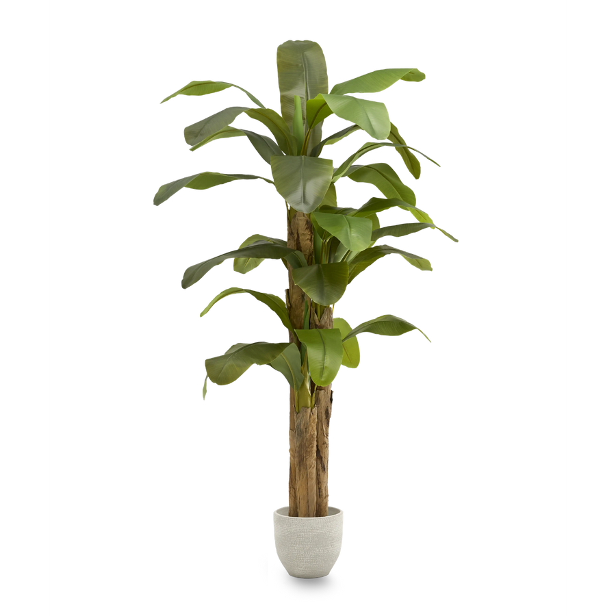 Maia Shop Bananenbaum Kunstpflanze Dekobaum Kunstbanane Tropische Dekoration B-Ware - 8435240502007