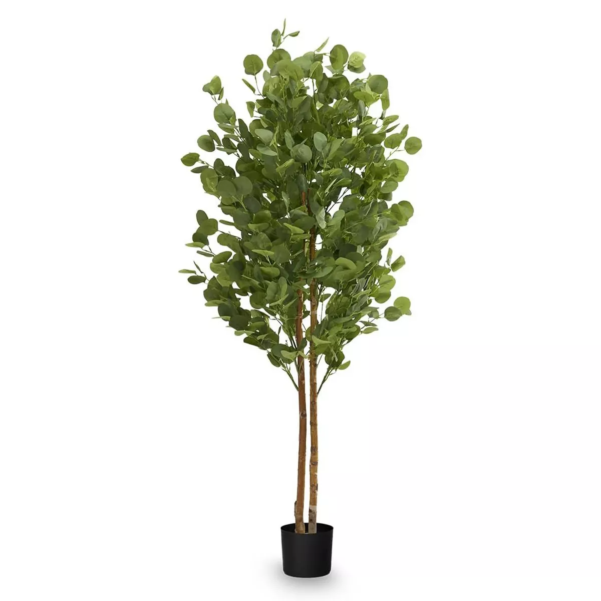 Maia Shop Eukalyptusbaum Kunstpflanze Baum Künstlich Naturholzstamm Kunstbaum B-Ware - 8435240997520