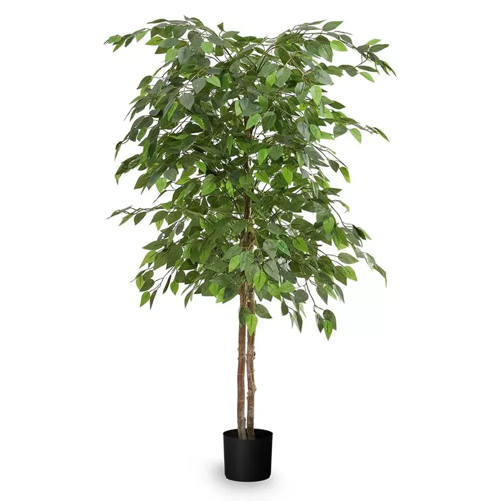 B-Ware Maia Shop Kunstpflanze Dekoration Ficus Grün 150 Cm Wohnzimmer Innendekoration - 8435240996493