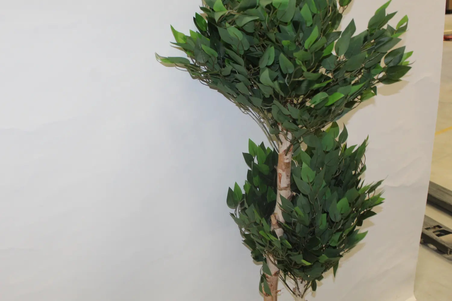 B-Ware Maia Shop Künstliche 2 Baumkronen Ficus Kunstpflanze Dekoration Siehe Text/Foto - 8435240504483