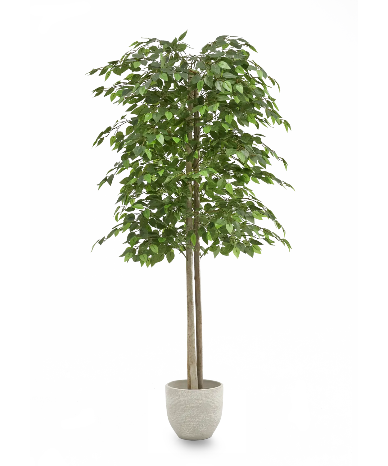 B-Ware Maia Shop Künstliche 2 Baumkronen Ficus Kunstpflanze Wohnzimmer Dekoration 150cm - 8435240504483