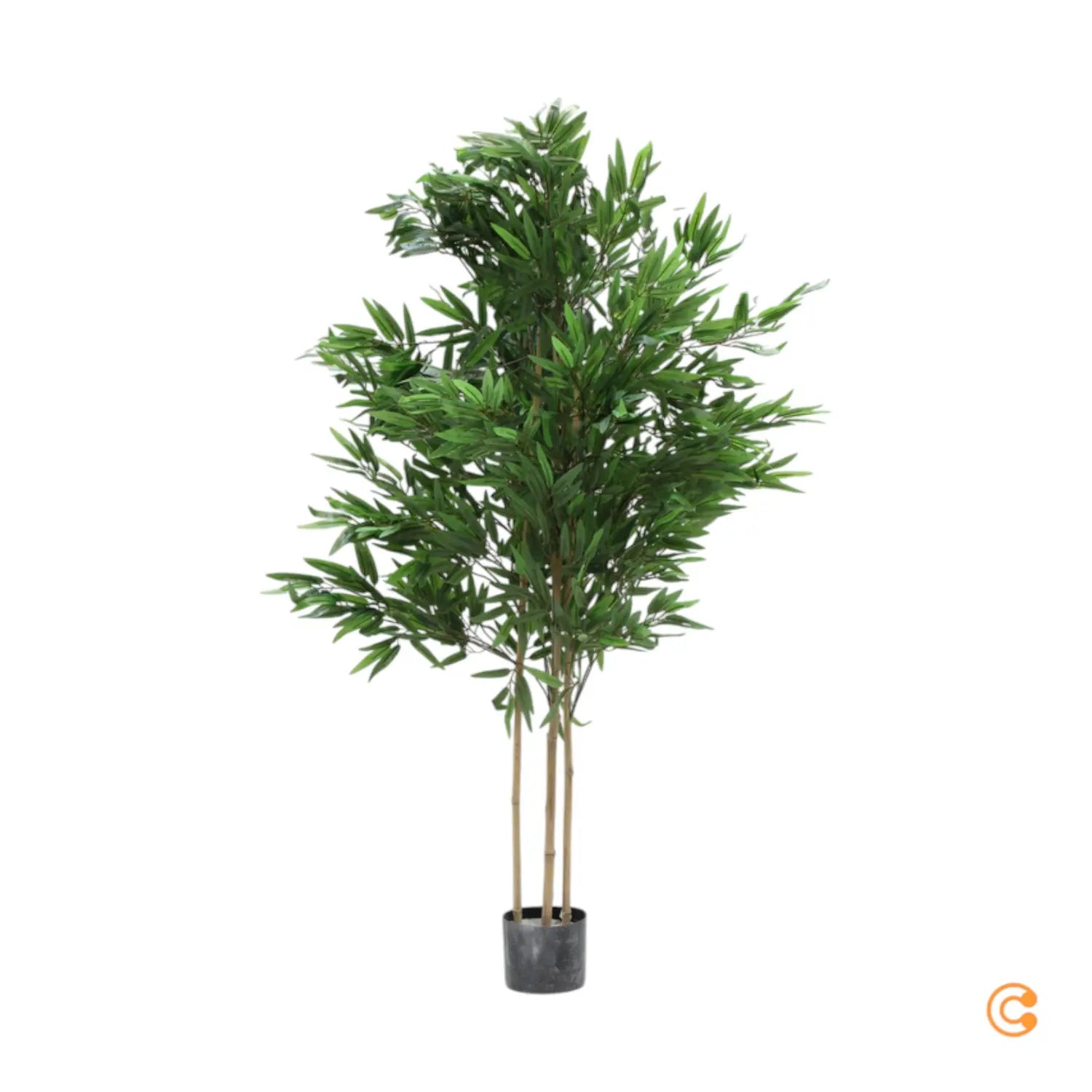 C-Ware Maia Shop Kunstpflanze Künstlicher Bambus 150 Cm Siehe Text/Foto - 8435240993973