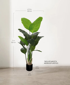 B-Ware Maia Shop Kunstpflanze Dekopflanze Strelitzia Nicolai Paradiesvogel 180x115256