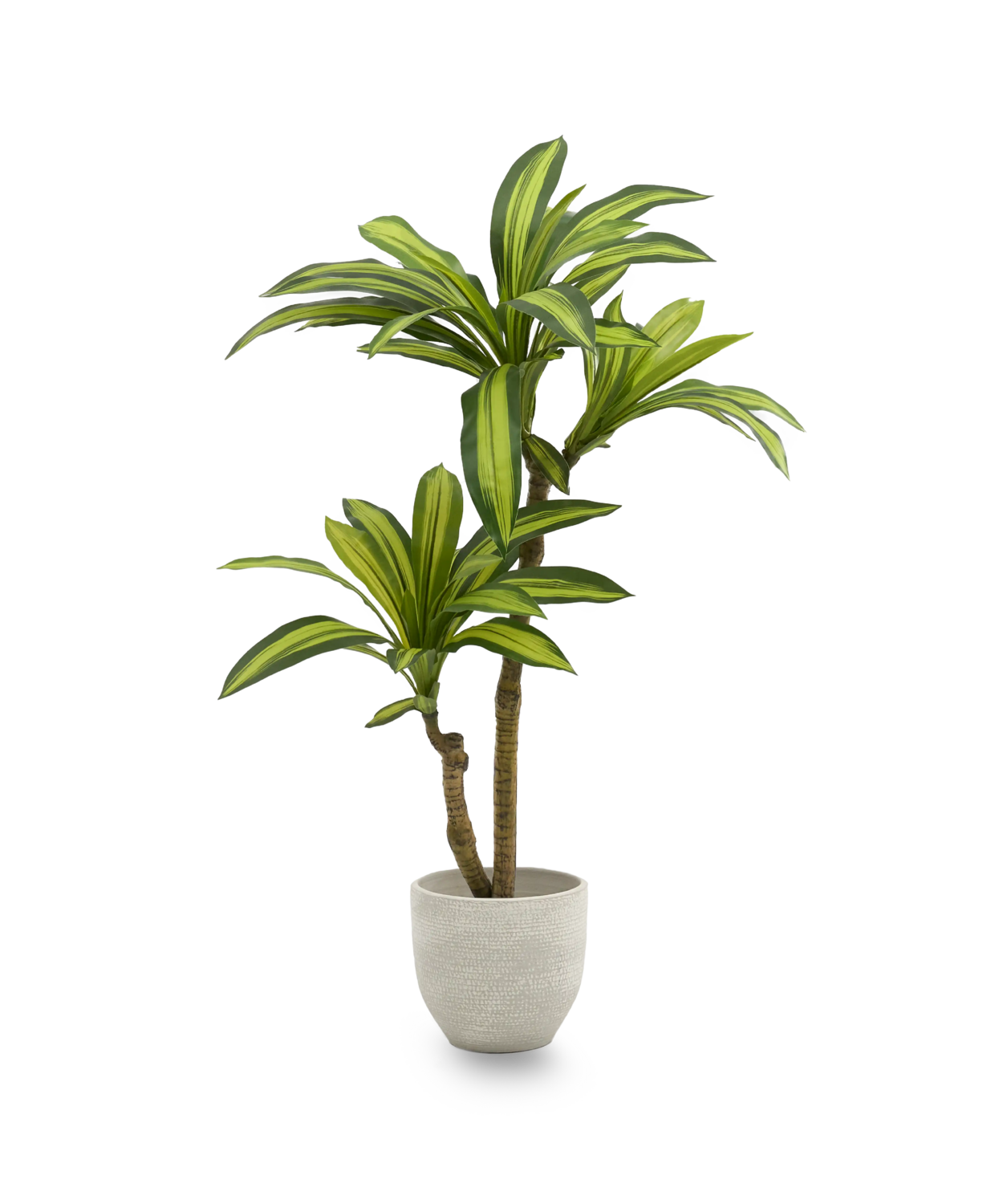 B-Ware Maiashop Künstliche Dracaena Kunstpflanze Baum 130 Cm Dekoration Wohnzimmer555
