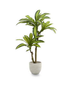 B-Ware Maiashop Künstliche Dracaena Kunstpflanze Baum 130 Cm Dekoration Wohnzimmer555