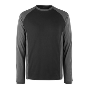 Descriptive image text