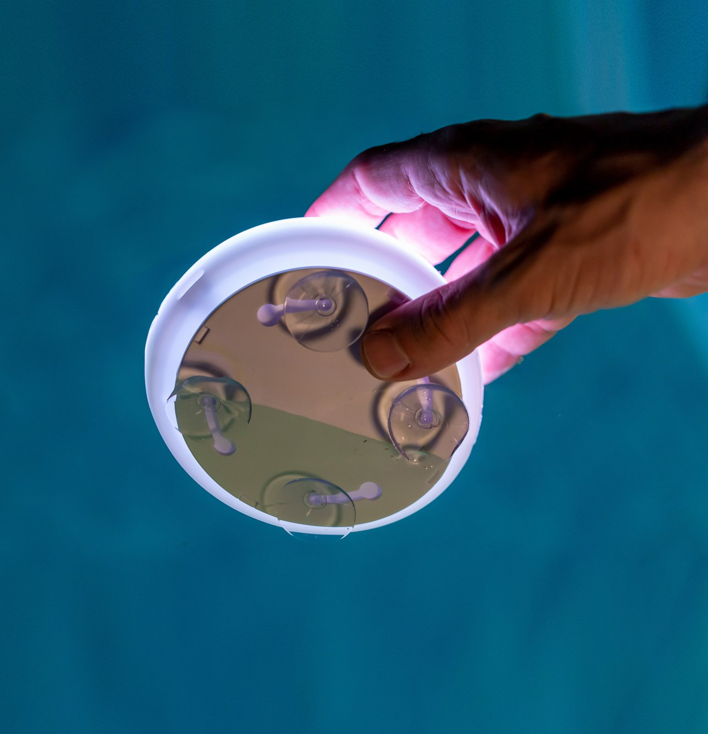 B-Ware Newgarden Papaya Led Akku Poolleuchte Ip68 Rgbw Poollampe Lampe Leuchte Spot 525