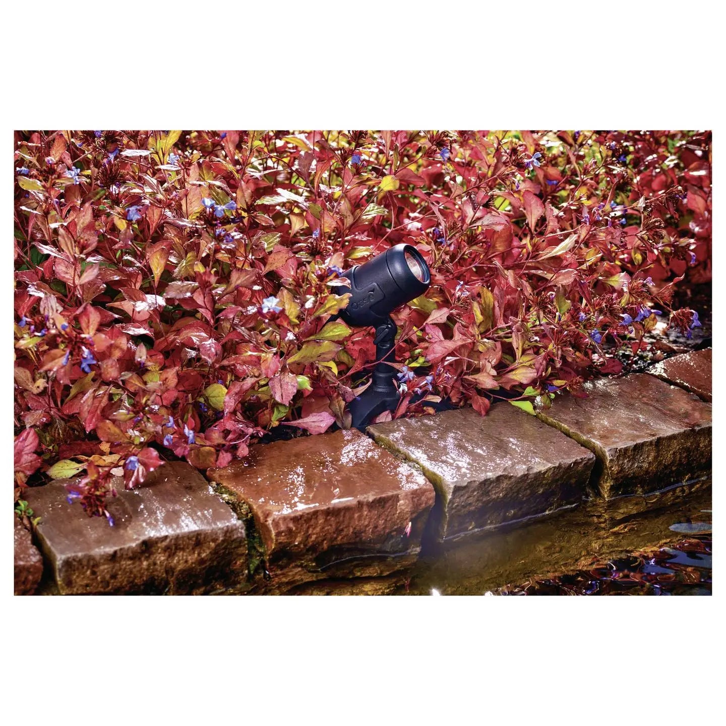 B-Ware Oase Teichbeleuchtung Gartenstrahler Led Lunaqua Connect M Solo Rgb Schwarz Spot - 4010052743363
