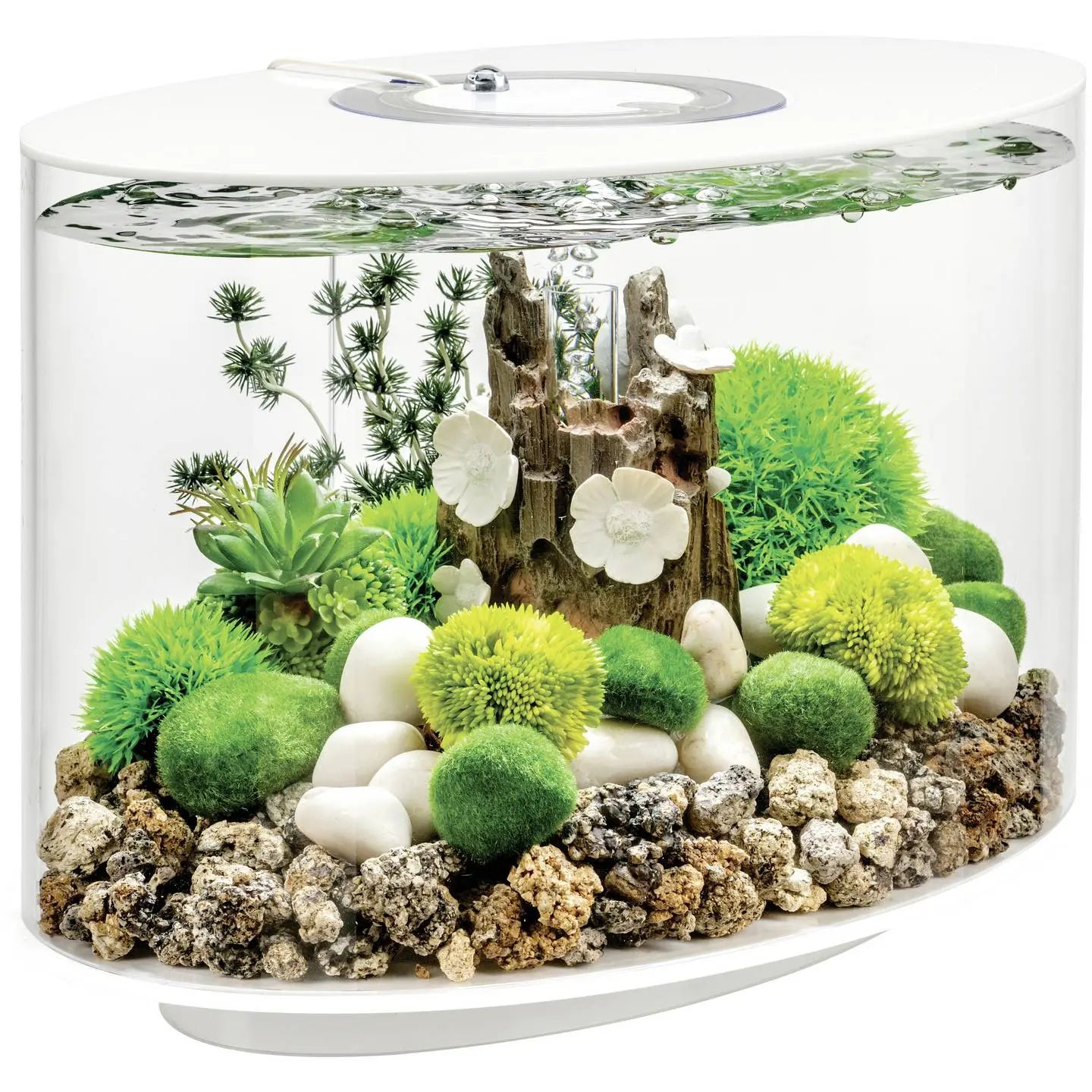 B-Ware Oase Aquarium Fischbecken Bi Orb Loop 15 Led Weiß Acryl Innen Komplettset Filter - 822728864142
