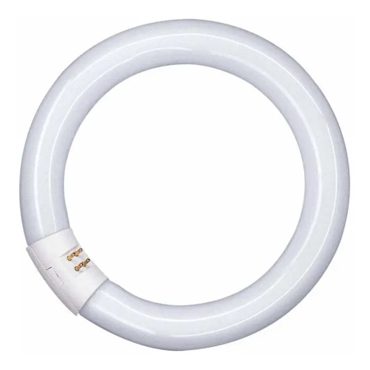 B-Ware Osram Lampe Leuchtstofflampe Ringleuchte G10q 32 W 840 Weiß 5 Stück - 4008321581143