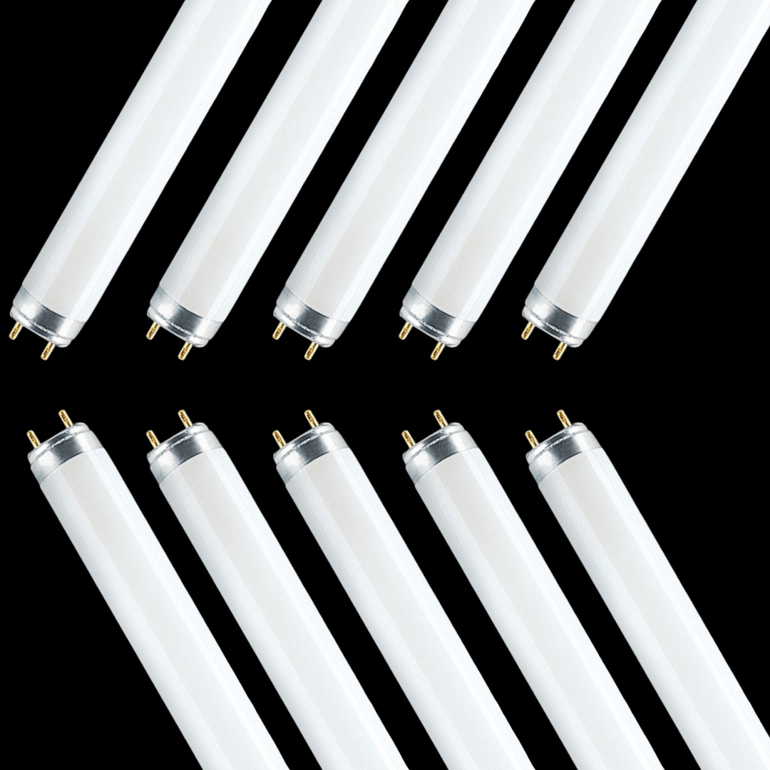 Osram Leuchtstoffröhre Eek: A G13 58 W Kalt Weiß 840 Röhrenform ø 26mm 10 Stück B-Ware