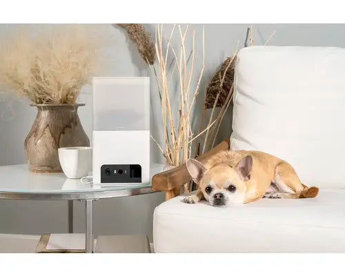 B-Ware Petcube Steuerung überwachungskamera Haustierkamera Katze Wlan App Weiß  - 854592007530