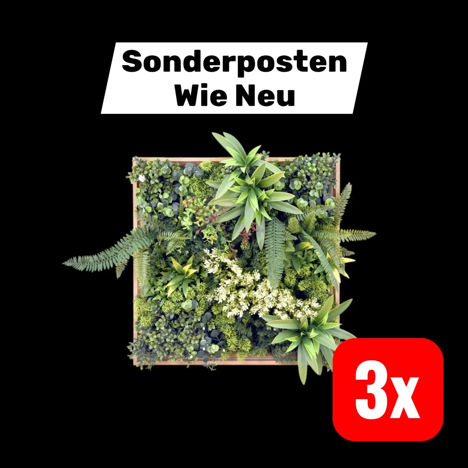 B-Ware Hjh Living Pflanzenmatte / Wand Vertikaler Leafluxe Wall 1 50x50cm 3 Stück - 4064323106791