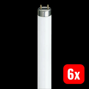 B-Ware Philips G13 Master Tl D Neutralweiß Leuchtstoffröhre 1000 Mm 36 W 4000 K 6 Stück