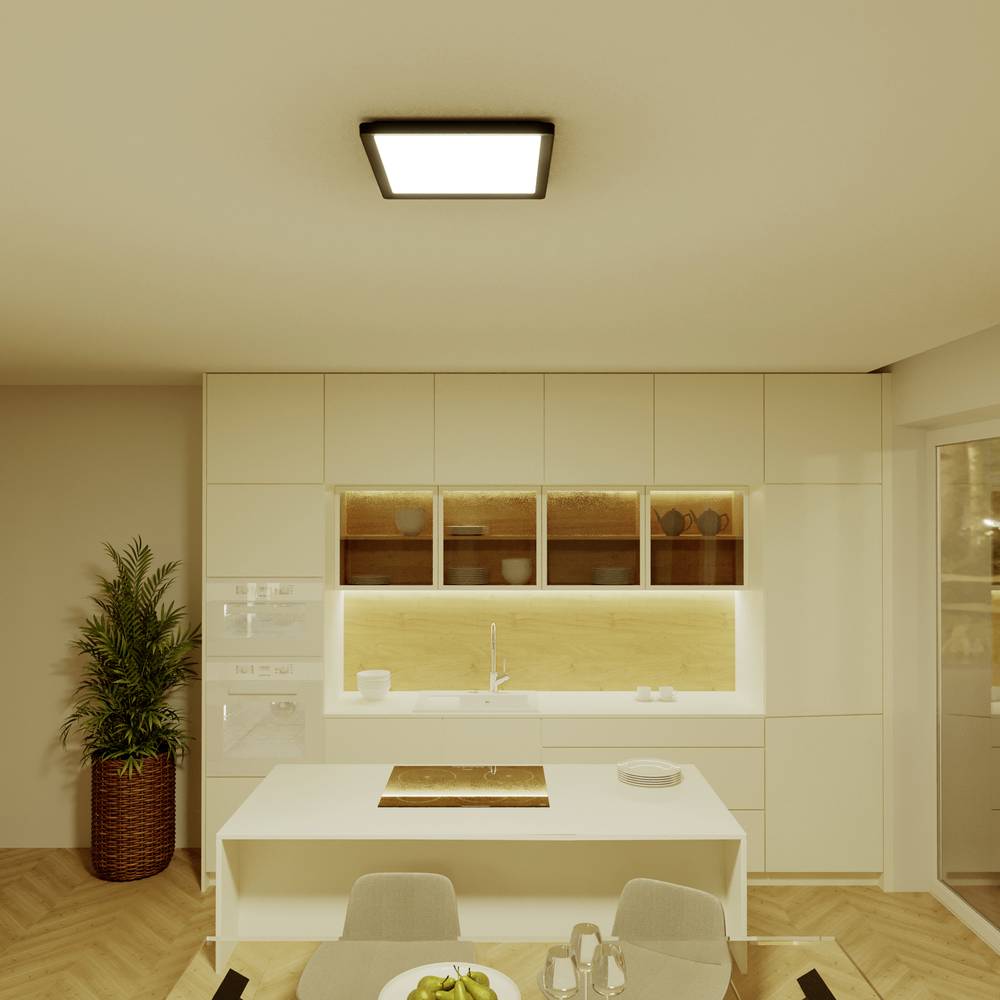 Philips LED Panel Panelleuchte SceneSwitch Schwarz Warmweiß quadratisch 12W 30cm - 8720169347915
