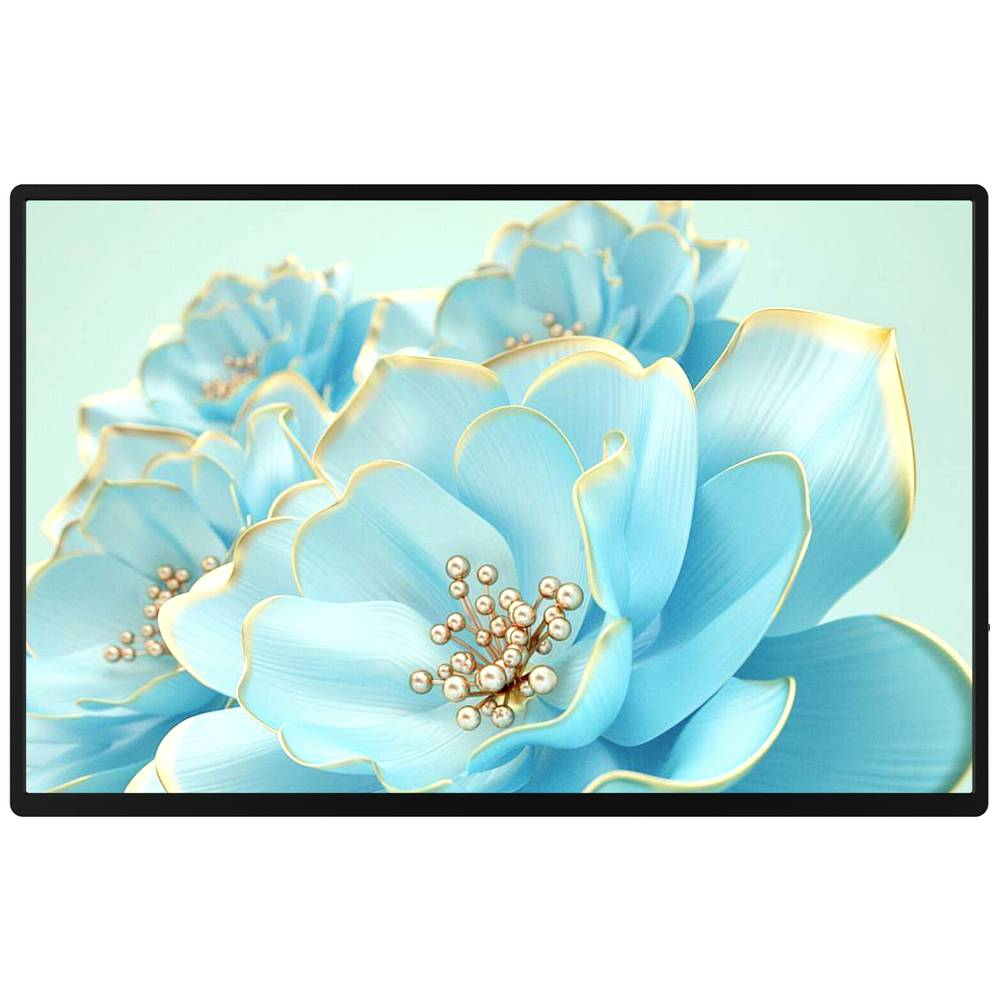 Raysgem Rc185 Ptm Touchscreen Monitor Eek: E A   G 47 Cm 18.5 Zoll 1980 X 108 Cm B-Ware - 4064161256221
