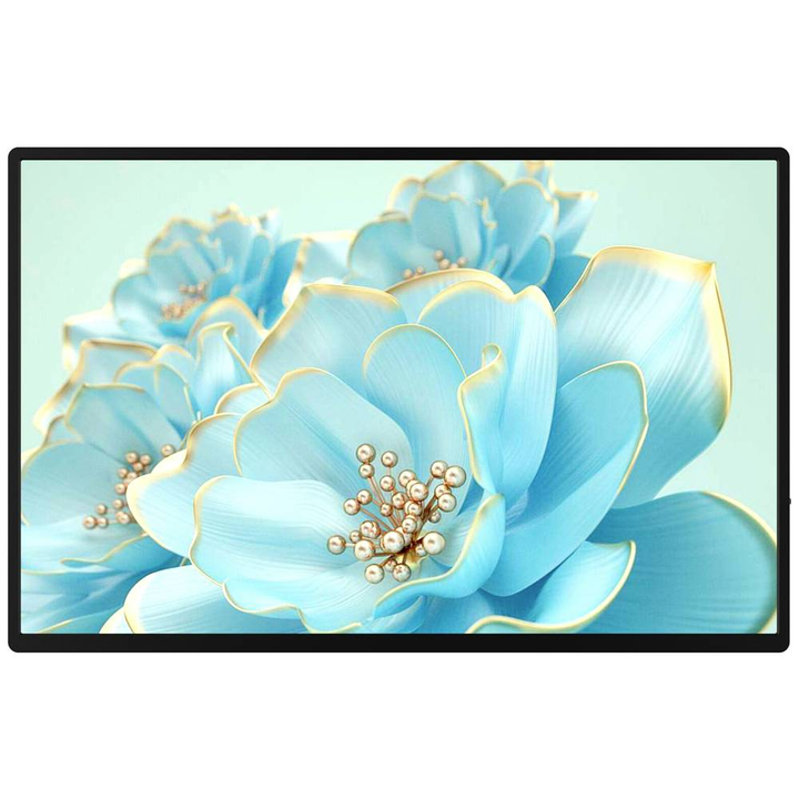 Raysgem Rc185 Ptm Touchscreen Monitor Eek: E A   G 47 Cm 18.5 Zoll 1980 X 108 Cm B-Ware - 4064161256221