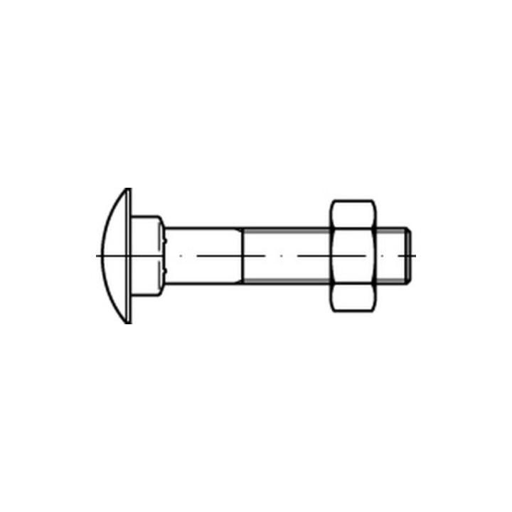 Reyher Din 603 Flachrundschraube M6x30 Stahl 4.6 Blank Vierkantansatz Mutter   B-Ware - 4043952119525