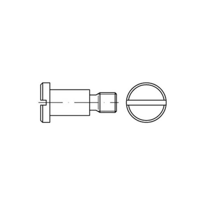 Reyher Flachkopfschraube Schraube DIN923 Schlitz Stahl 4.8 M5x20 blank 300 STÜCK - 4043952801345