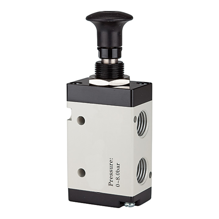 B-Ware Riegler Wegeventil Ventil Druckknopfbetätigung Schalttafeleinbau G18 500lmin - 4047322311984