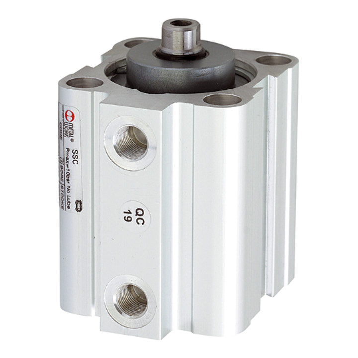 B-Ware Riegler Kurzhubzylinder Zylinder Magnet Kolben 25mm Hub 10mm G1/8 Doppeltwirkend - 4047322070430