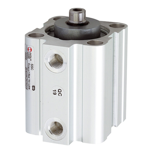 Riegler Kurzhubzylinder Doppeltwirkend Magnetzylinder Kolben 63mm Hub 70mm G18 B-Ware