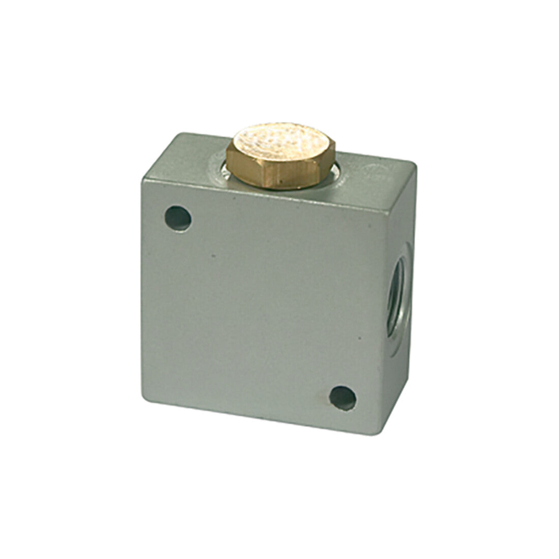 Riegler T Verteiler Anschluss G 1/2 Aluminium SW 30 Verbindung 5 STÜCK - 4047322030618