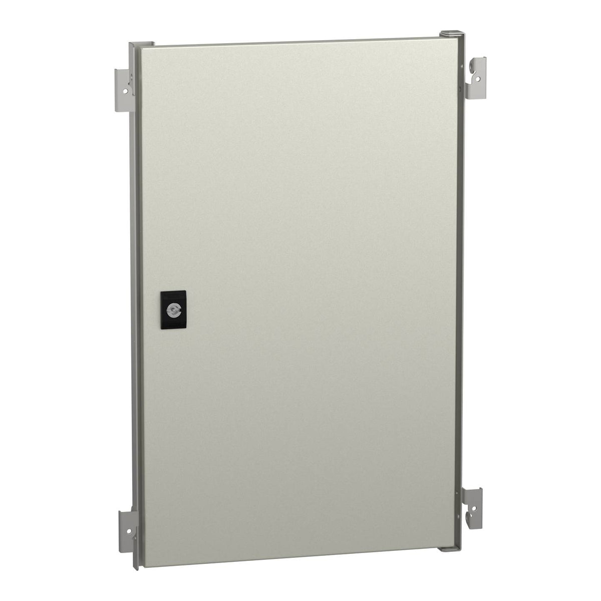 Schneider Electric Verteilertür Innentür Tür Stahl grau Spacial WM NSYPIN64 - 3606480168550