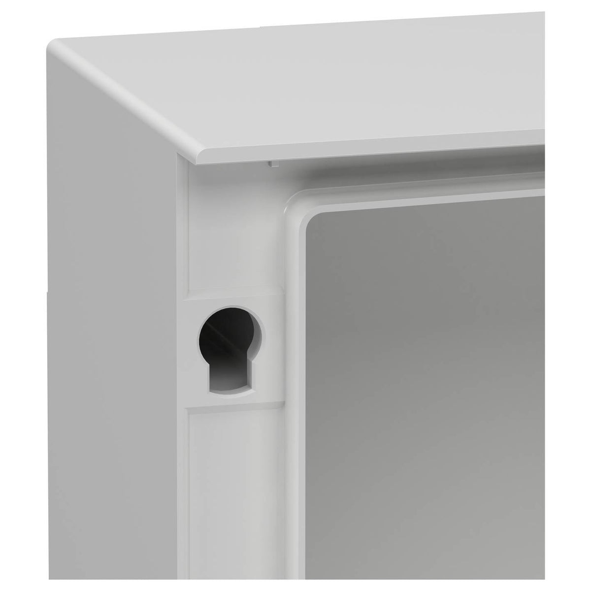 Schneider Electric Schaltschrank Gehäuse Kasten Panelset Kunststoff NSYPLM64TG - 3606480776663