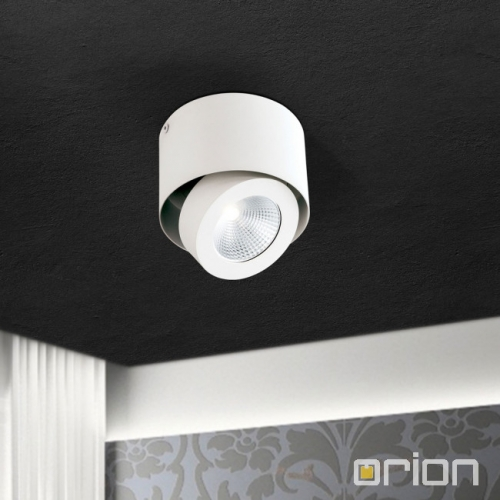 B-Ware Orion Schwenkbarer Led Aufbauspot Deckenlampe Deckenlampe Meno Weiß Dimmbar - 9003090250073