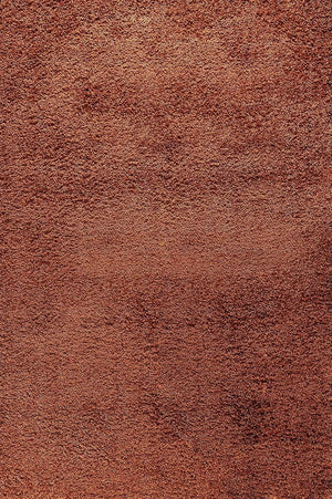 B-Ware Serdim Rugs Teppich Teppichboden Wohnzimmer Shaggy Terrakotta Weich 160 × 230 Cm