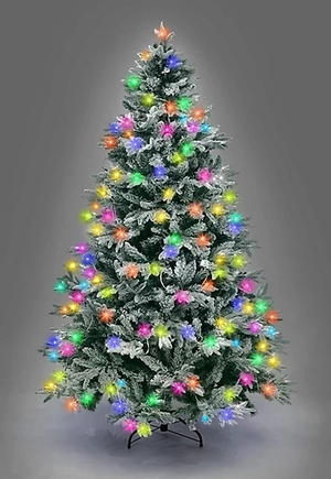 Descriptive image text