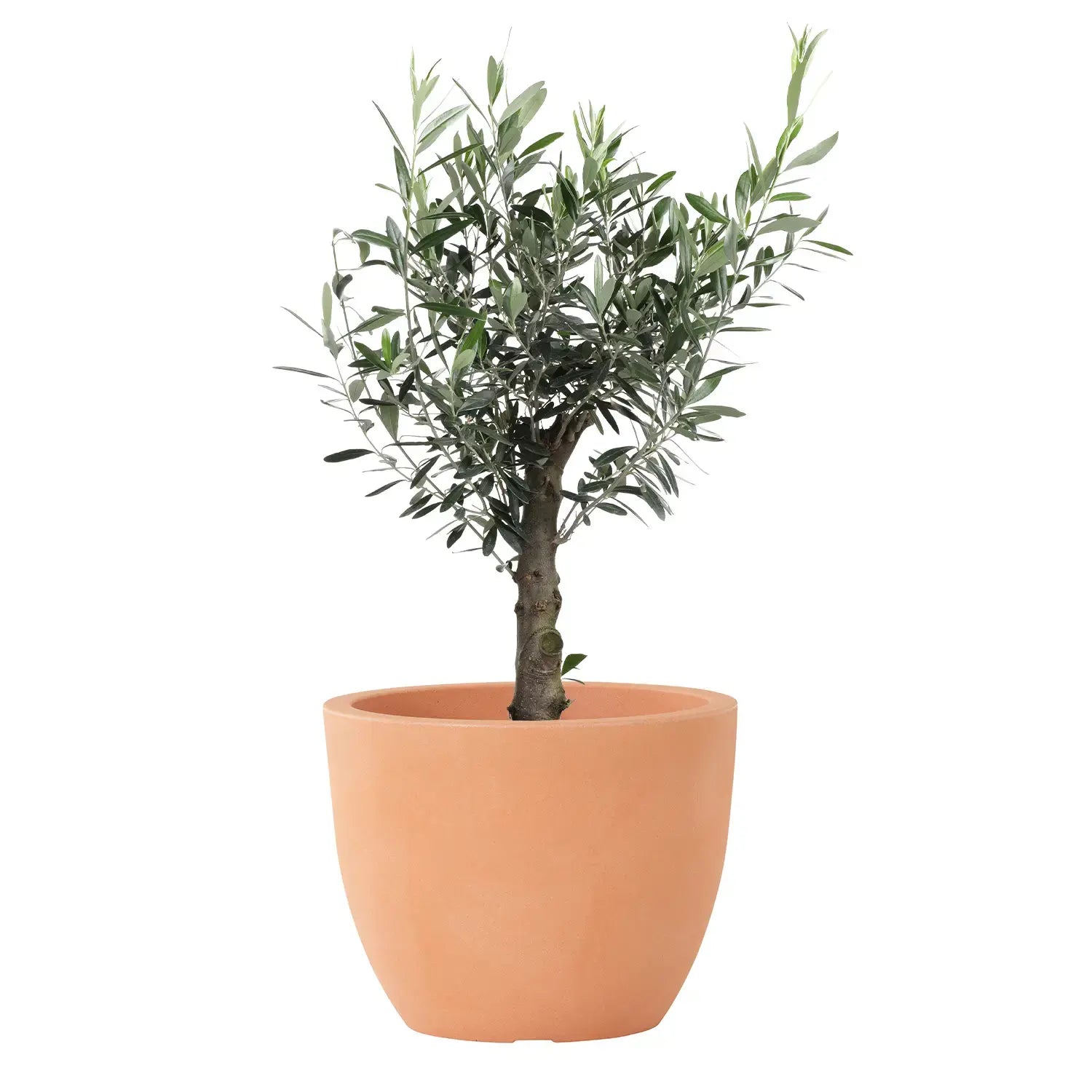 B-Ware Siena Garden übertopf Topf Pflanzgefäß Blumentopf Bristol Kunststoff Outdoor - 4055938896603