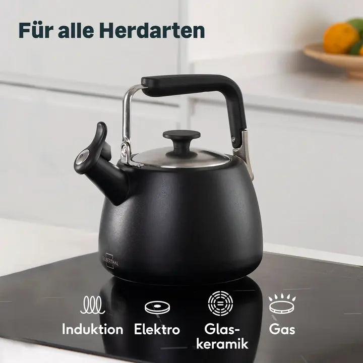 B-Ware Silberthal Flötenkessel Wasserkessel Schwarz Edelstahl Ausgussfilter 1,9 L692