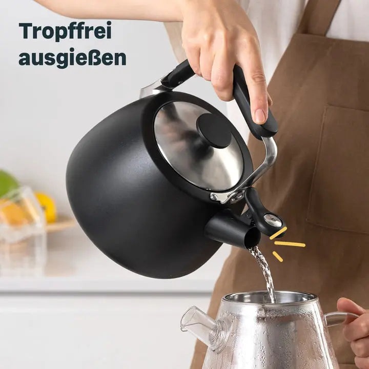 B-Ware Silberthal Flötenkessel Wasserkessel Schwarz Edelstahl Ausgussfilter 1,9 L692