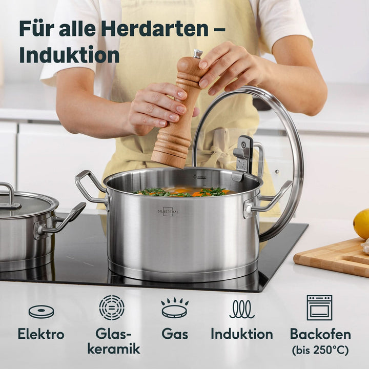 SILBERTHAL Kochtopf Topf Edelstahl Glasdeckel 24 cm 5 8 Liter Induktion Gas - 4260470463132