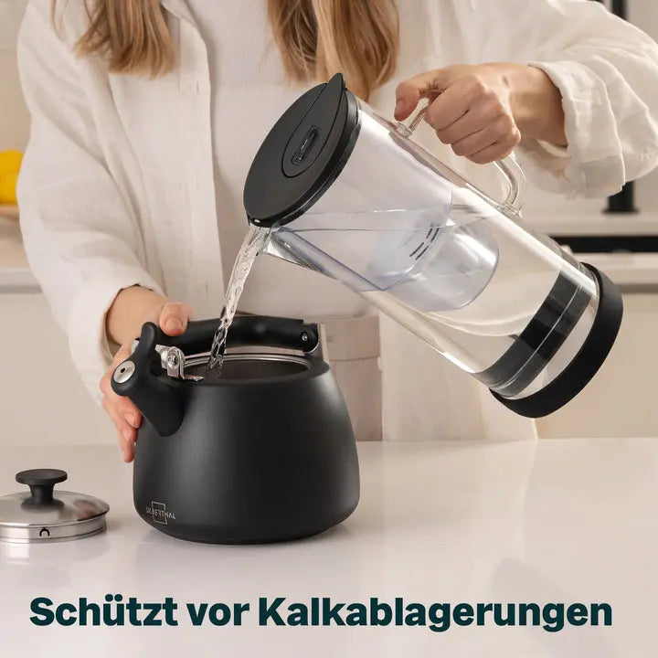 B-Ware Silberthal Wasser Filterkanne Filte Glas Wasserfilter Kartusche Wasserfilter