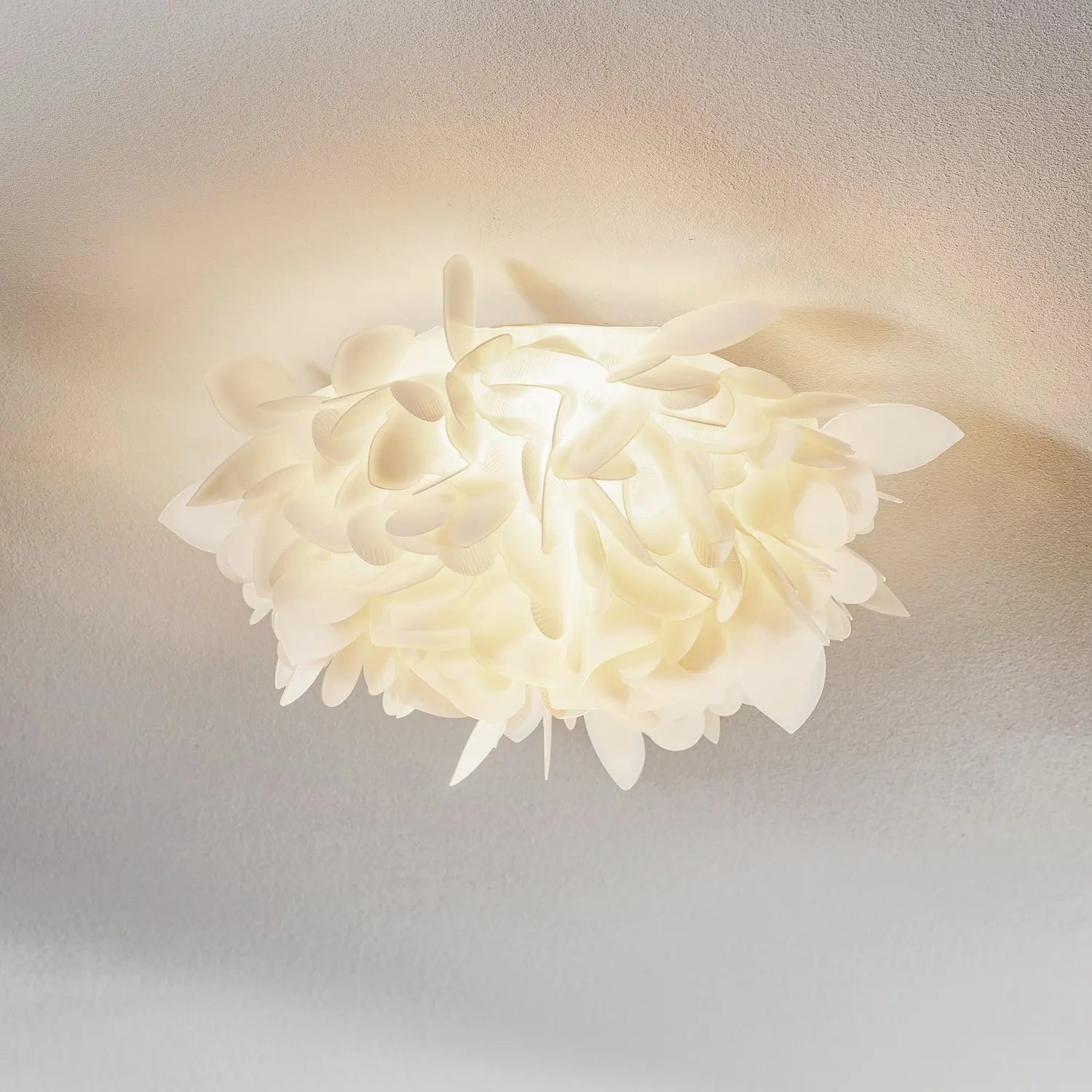B-Ware Slamp Veli Mini Foliage Wandleuchte Deckenlampe Lampe Leuchte Wohnzimmerlampe