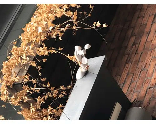 B-Ware Hornbach Markisen Steuerung Sensor Windmesser Sonnensensor Weiß Motor Markisen - 4306517562823