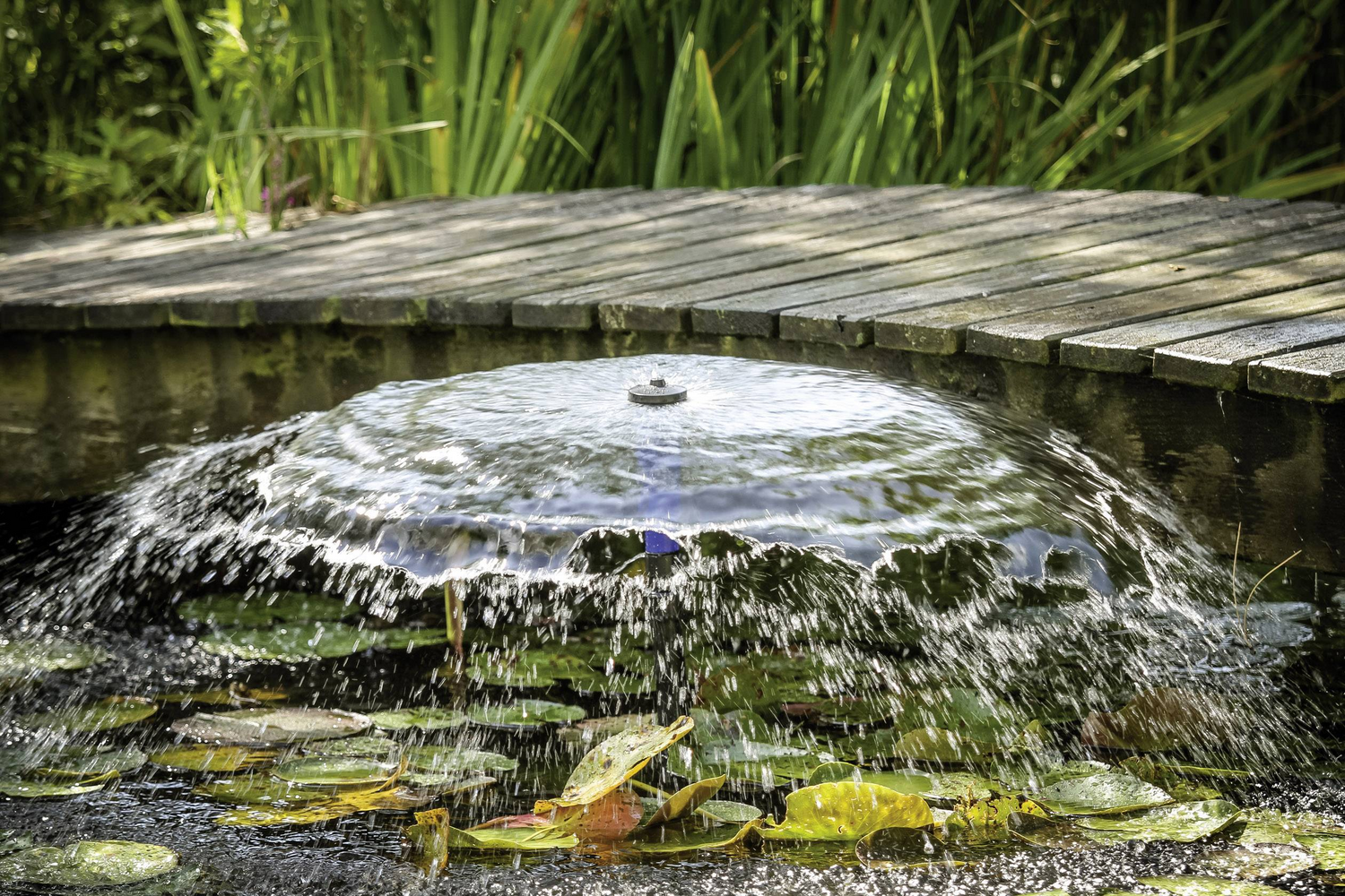 B-Ware Renkforce 1217918 Springbrunnenpumpe 3000 L/H Edelstahl 120 W