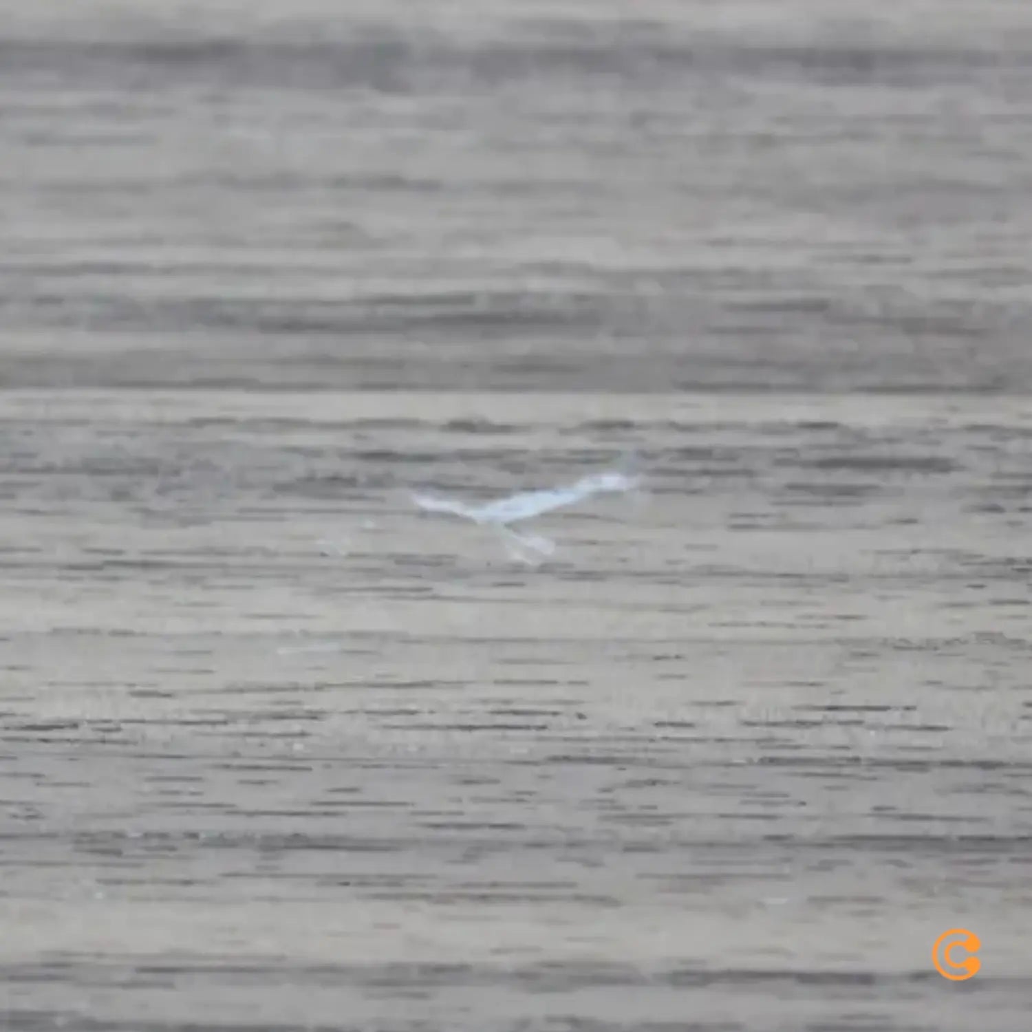 B-Ware String Schrankmodul Mit Schiebetüren 78x30cm Walnuss Lackiert Siehe Text/Foto - 7350038270375