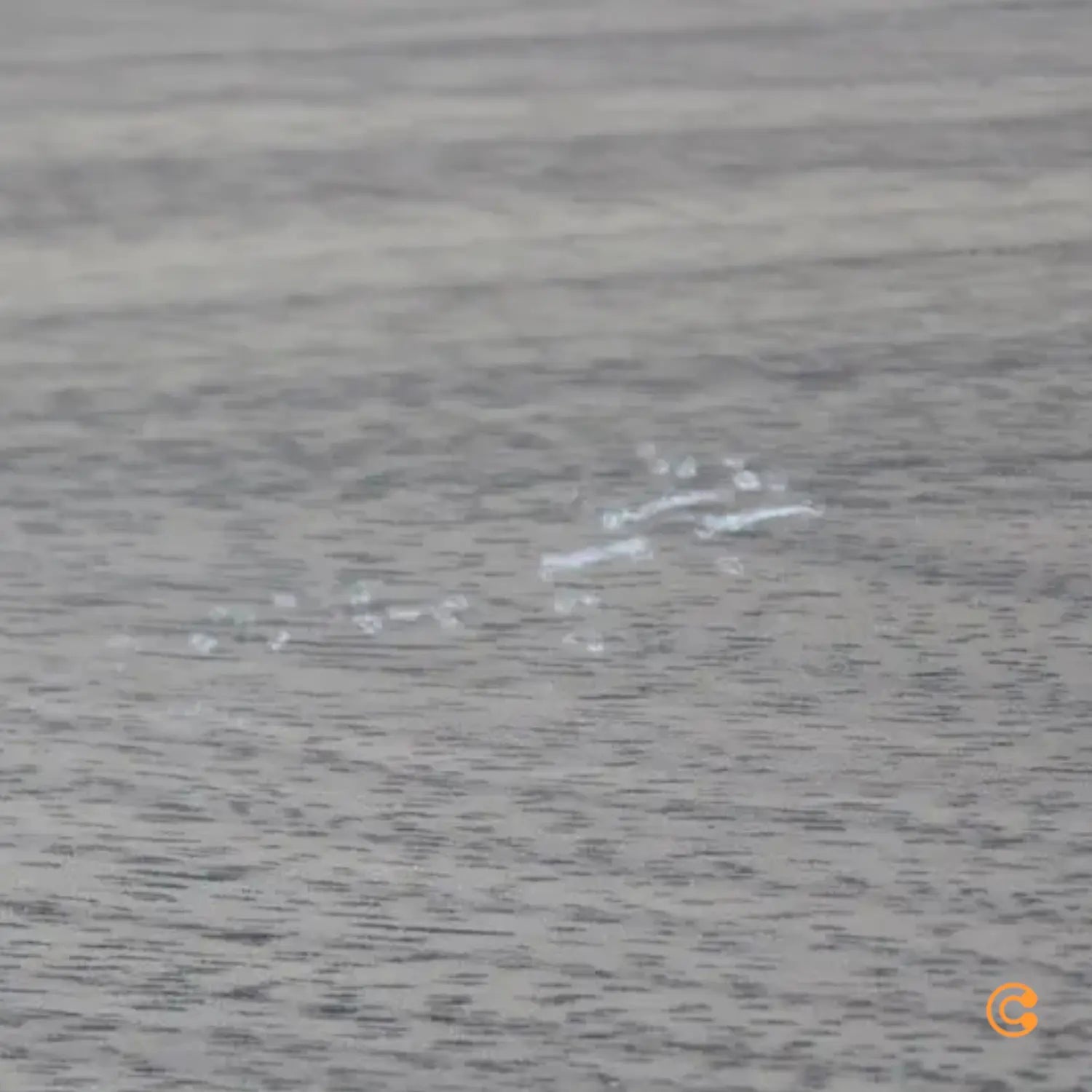 B-Ware String Schrankmodul Mit Schiebetüren 78x30cm Walnuss Lackiert Siehe Text/Foto - 7350038270375