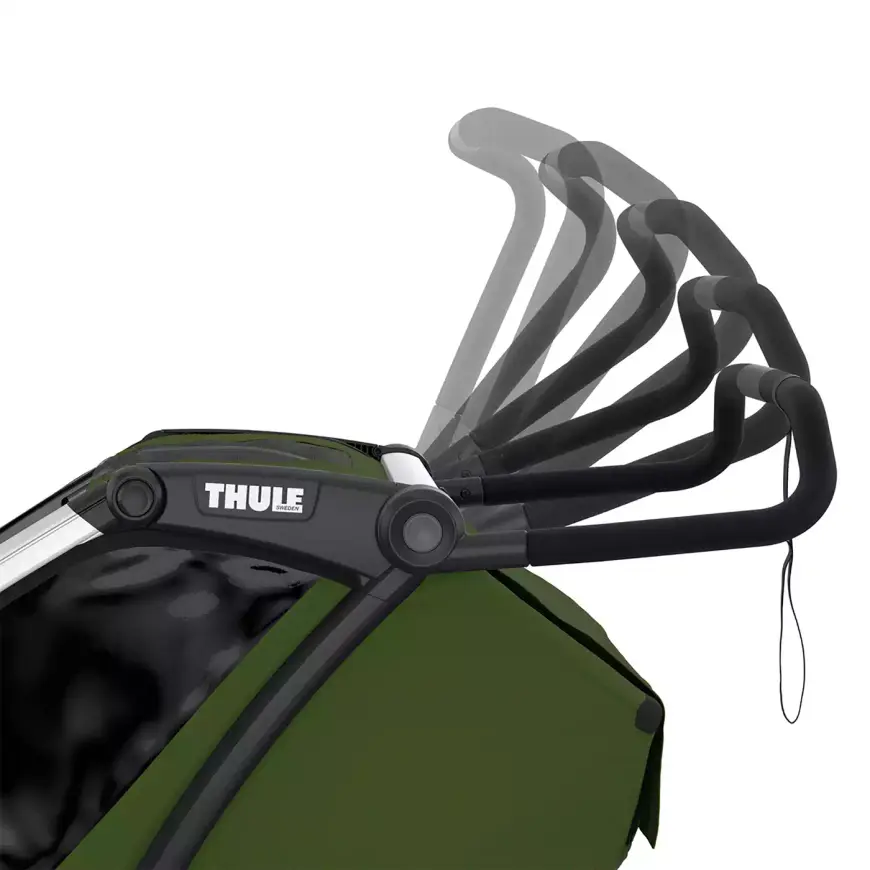 Thule Chariot Cab 2 Kinderanhänger Fahrradanhänger Cypress Green Xxl Stauraum  B-Ware - 872299048748