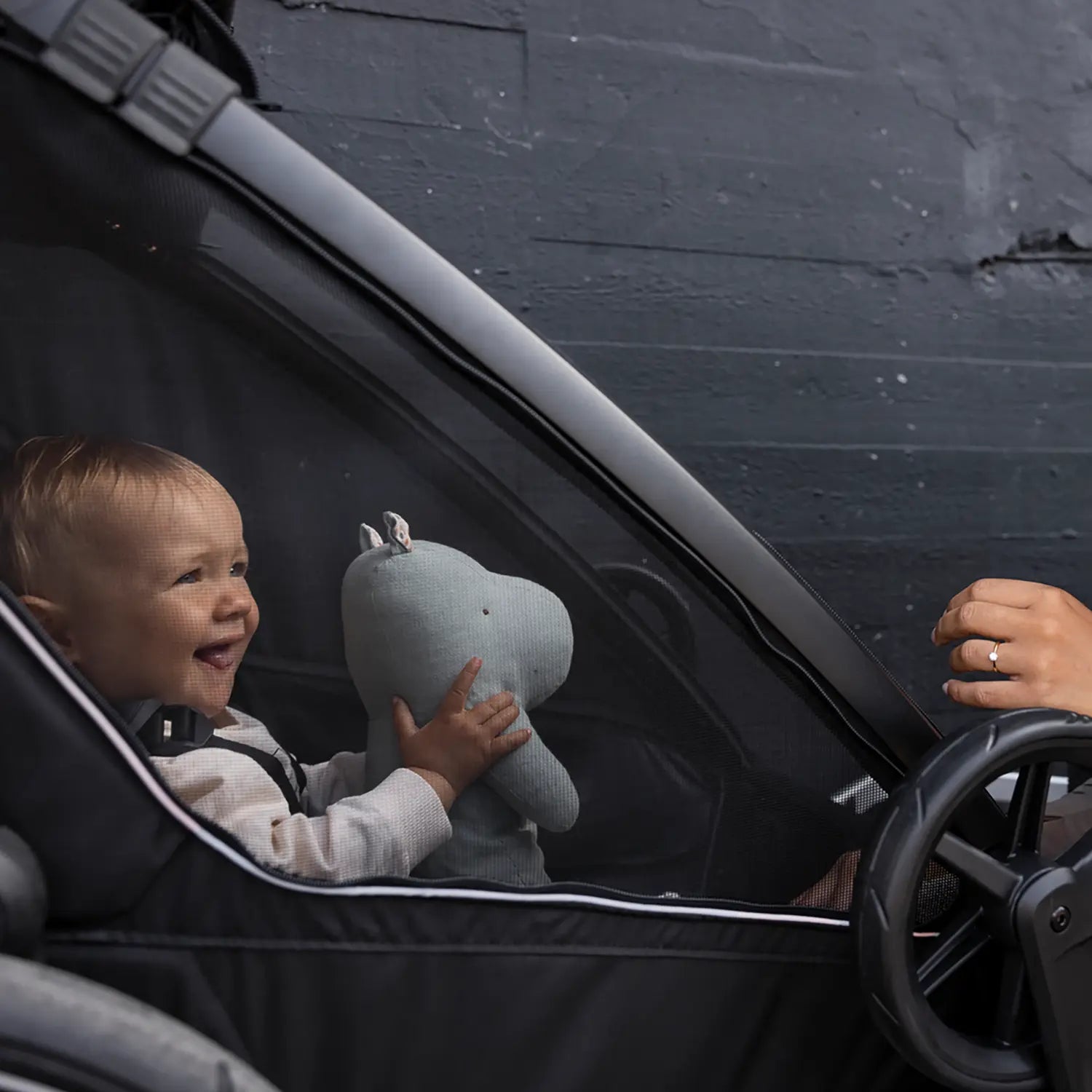 B-Ware Thule Fahrradanhänger Kinderwagen Anhänger Sport 2 Einsitzer Black Multisport - 197074564733