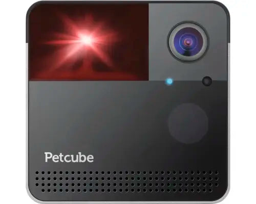 D-Ware Tierüberwachungskamera Petcube Play 2 Haustierkamera Defektware - 854592007578