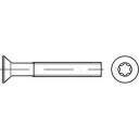 B-Ware Toolcraft 1066264 M2 12mm T Profil Din 965 Edelstahl A4 2000 St. Senkschrauben