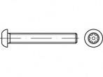 Toolcraft To 5380206 Sicherheitsschrauben M5 40mm Innensechsrund 88116 Edelstahl B-Ware - 4053199660599